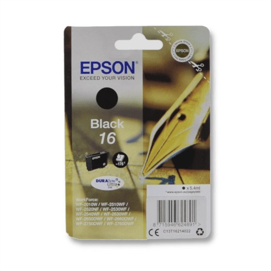 Epson T1621 black